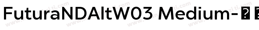FuturaNDAltW03 Medium字体转换